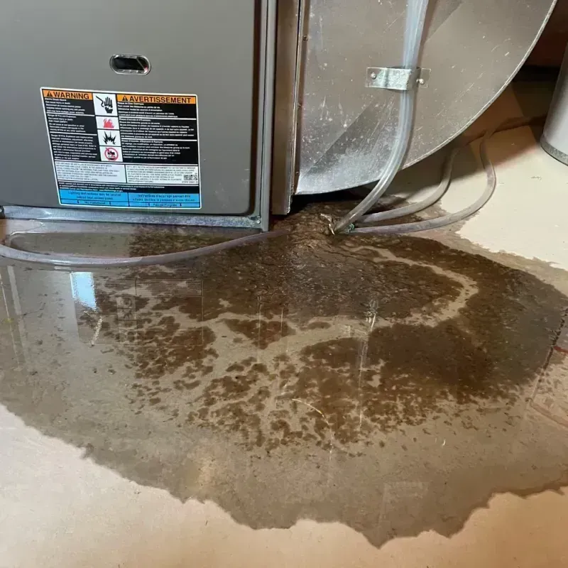 Appliance Leak Cleanup in Joliet, IL